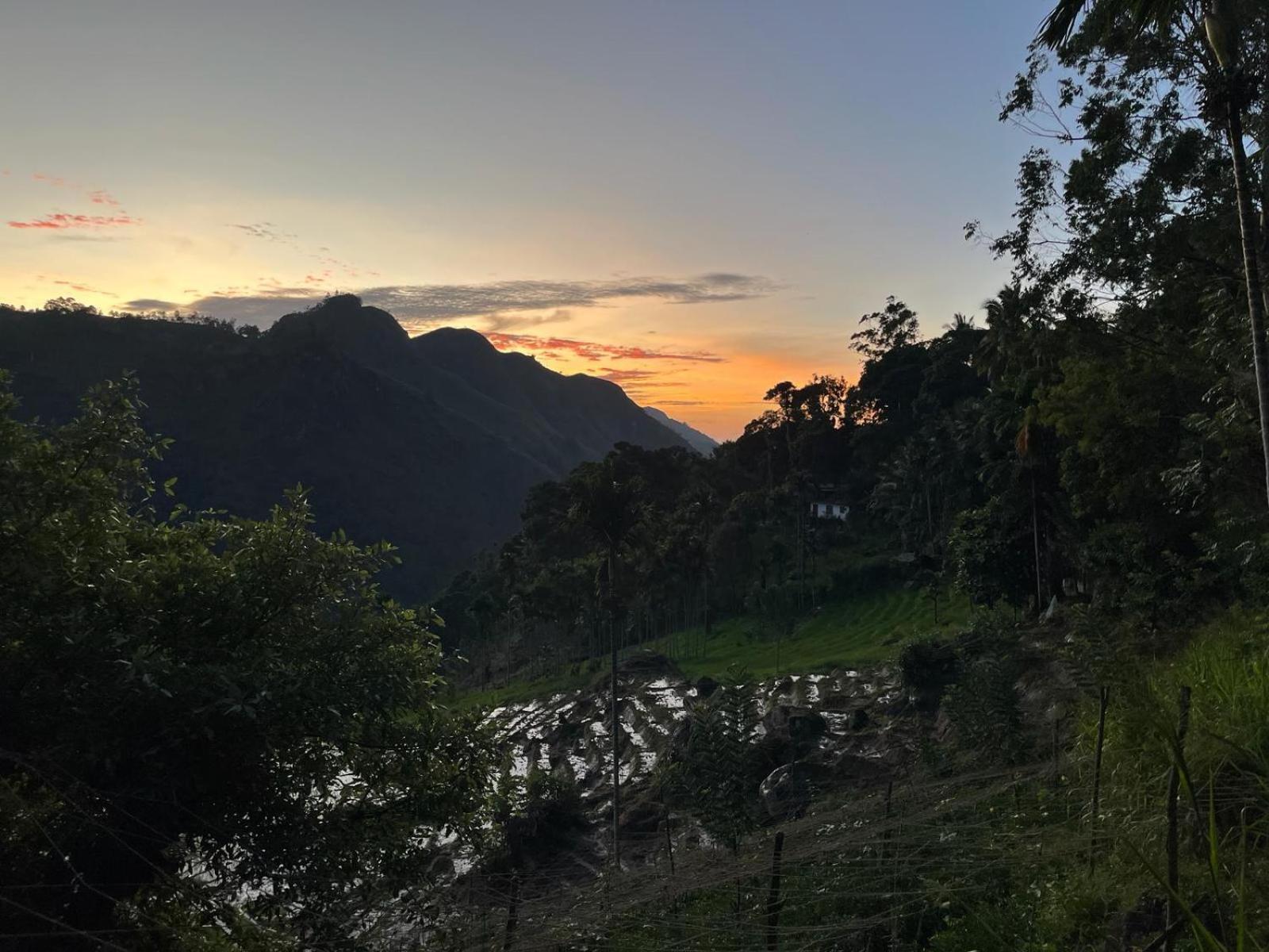 Forest Rawana Homestay Ella Exterior foto